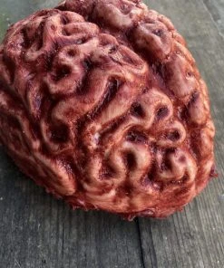 SpellBound FX And Art "Silicone Brain" Body Part Halloween Prop