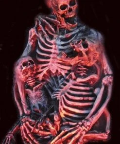 Midnight Studios "Skeleton Family Portrait" Halloween Prop Props