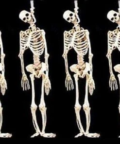 Morris Package Deals "Skeleton Halloween Props" - 6x Package Deal