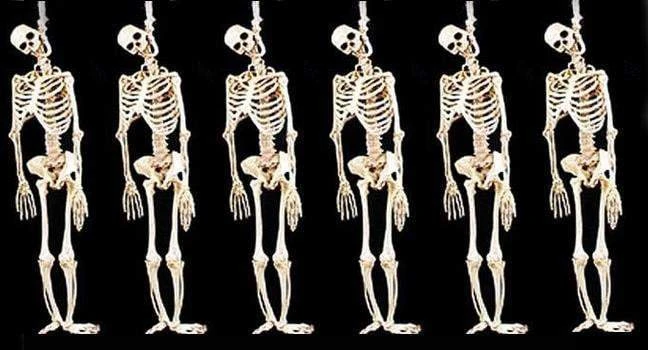 Morris Package Deals "Skeleton Halloween Props" - 6x Package Deal 1 Morris Package Deals "Skeleton Halloween Props" - 6x Package Deal