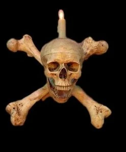 Skeletons And More "Skull/Femur Bone Wall Sconce" Haunted House Lighting Realistic Props