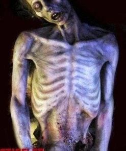 Midnight Studios "Stiffler Morgue Corpse" Professional Human Body Halloween Prop Props