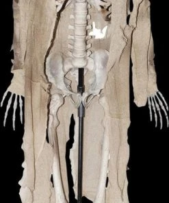 Morris Props "Talking Skeleton" Halloween Prop - Open Box