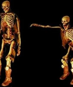 DC Props "The Jester" Skeleton Halloween Animatronic Animatronics