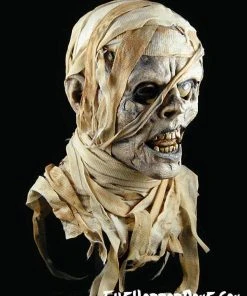 The Horror Dome "The Mummy" HD Studios Pro Mask Masks