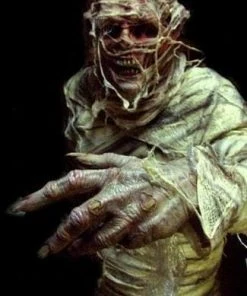 Midnight Studios "The Mummy" Professional Costume Costumes