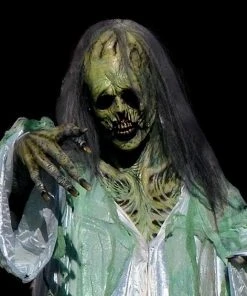 The Horror Dome Halloween Sales 5 The Horror Dome "Ultimate Spectre" HD Studios Pro Costume Costumes