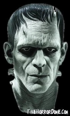 Morris "Universal Studios Frankenstein" Mask Scary Masks