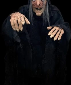 The Horror Dome Costumes "Wicked Witch" HD Comfort Costume