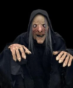 The Horror Dome Costumes "Wicked Witch" HD Comfort Costume