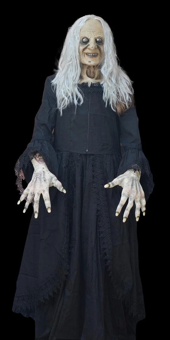 The Horror Dome "Witchy Woman" HD Studios Costume 1 The Horror Dome "Witchy Woman" HD Studios Costume