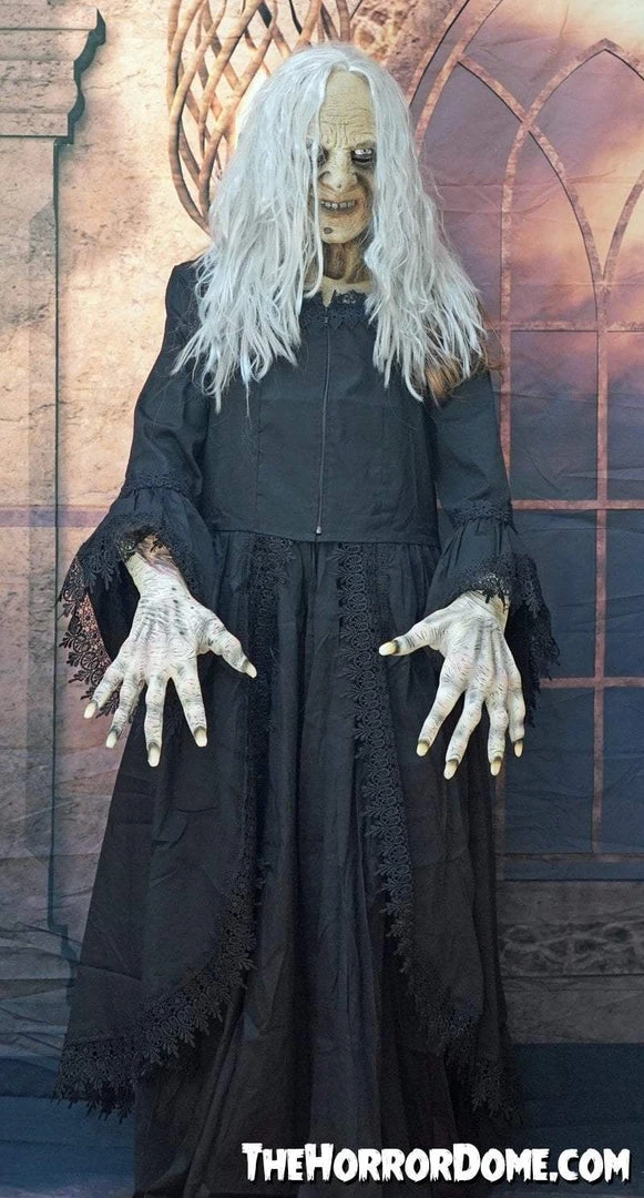 The Horror Dome "Witchy Woman" HD Studios Costume 4 The Horror Dome "Witchy Woman" HD Studios Costume