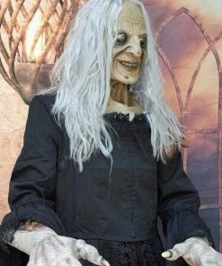 The Horror Dome "Witchy Woman" HD Studios Costume 10 The Horror Dome