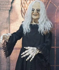 The Horror Dome "Witchy Woman" HD Studios Costume 8 The Horror Dome