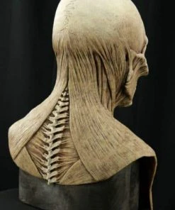 CFX "Yorick The Skull - Tan" Silicone Mask Scary Masks