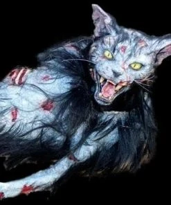 The Horror Dome Accessories "Zombie Cat" HD Studios Halloween Puppet Prop