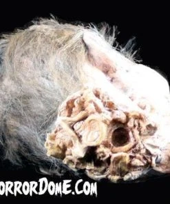 The Horror Dome "Zombie Head" HD Studios Halloween Prop Props