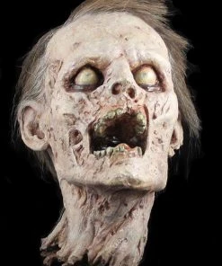 The Horror Dome "Zombie Head" HD Studios Halloween Prop Props