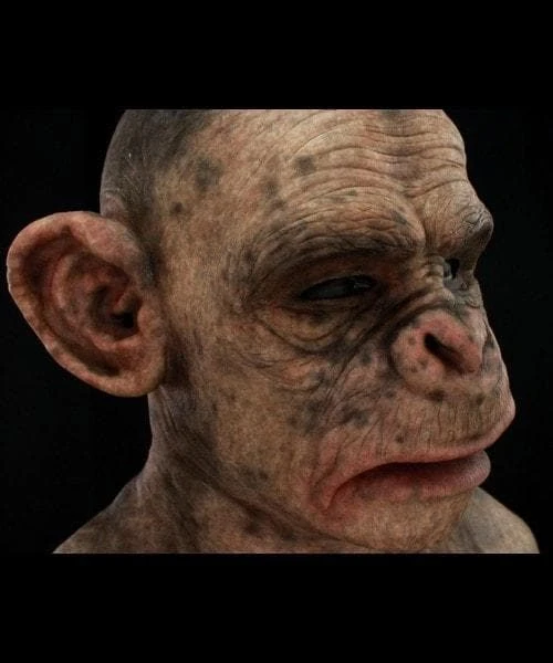 The Horror Dome Halloween Sales -The Horror Dome Halloween Sales ape man silicone halloween mask